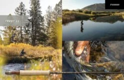 Sage Trout LL 4pc Fly Rod -Fishing Specialty Store 334f4d05 4d2d 442a 93c0 72f82ab12a54