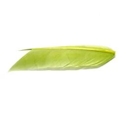 Condor Substitute Feather -Fishing Specialty Store 40 88093