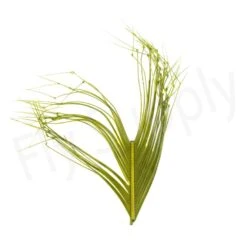 50 Hopper And Daddy Legs Single Knot -Fishing Specialty Store 50 Hopper and Daddy legs single knot 42 10XXX olive