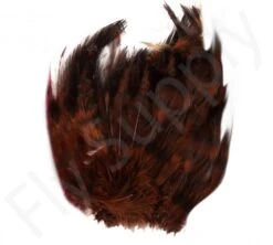 Barred Neck Hackle Feathers -Fishing Specialty Store Barred Neck Hackle Feathers BARNECKHACK X brown