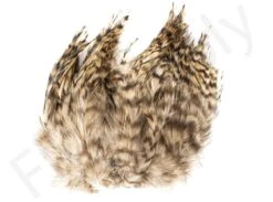 Barred Neck Hackle Feathers -Fishing Specialty Store Barred Neck Hackle Feathers BARNECKHACK X dsc08624