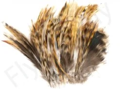 Barred Neck Hackle Feathers -Fishing Specialty Store Barred Neck Hackle Feathers BARNECKHACK X dsc08625 bewerkt