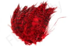 Barred Neck Hackle Feathers -Fishing Specialty Store Barred Neck Hackle Feathers BARNECKHACK X dsc08627 bewerkt
