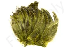Barred Neck Hackle Feathers -Fishing Specialty Store Barred Neck Hackle Feathers BARNECKHACK X dsc08628 bewerkt