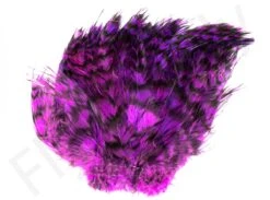 Barred Neck Hackle Feathers -Fishing Specialty Store Barred Neck Hackle Feathers BARNECKHACK X dsc08629 bewerkt