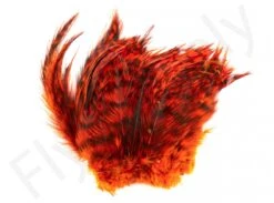 Barred Neck Hackle Feathers -Fishing Specialty Store Barred Neck Hackle Feathers BARNECKHACK X dsc08636 bewerkt