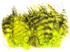 Barred Neck Hackle Feathers -Fishing Specialty Store Barred Neck Hackle Feathers BARNECKHACK X dsc08637 bewerkt
