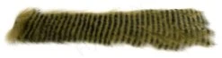 Black Barred 3 Mm Zonkerstrips -Fishing Specialty Store Black Barred 3 mm Zonkerstrips 50 95XXX dsc01857