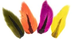 Bucktail Prime Quality