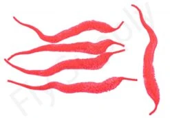 Cascade Mangums Dragon Tails 5pc -Fishing Specialty Store Cascade Magnums Dragon Tails 5pc CASC MDT X dsc09727 bewerkt