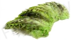 Chinchilla Saddle Neck Grizzly -Fishing Specialty Store Chinchilla Saddle Neck Grizzly FSTYING CSNG X dsc01831 bewerkt wm