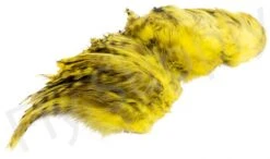 Chinchilla Saddle Neck Grizzly -Fishing Specialty Store Chinchilla Saddle Neck Grizzly FSTYING CSNG X dsc01833 bewerkt wm