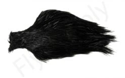 Chinese Cock Necks #2 -Fishing Specialty Store Chinese Cock Necks 2 40 25XXX dsc09377 bewerkt