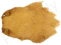 Chinese Hen Necks -Fishing Specialty Store Chinese hen necks 40 30XXX dsc04855 bewerkt