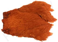 Chinese Hen Necks -Fishing Specialty Store Chinese hen necks 40 30XXX dsc04856 bewerkt