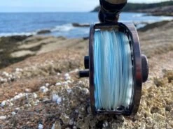 Cortland Compact Intermediate Blitz Fly Line -Fishing Specialty Store Cortland Compact intermediate Blitz Fly Line D340020 XX img 4376 1200x