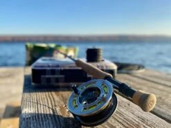 Cortland Competition Fo-tech Sink Type 3 Fly Line -Fishing Specialty Store Cortland Competition Fo tech Sink Type 3 Fly Line D340102 XX img 5715 e5dd90c2 c049 4605 b1aa 3b5dd80b41ea 1200x