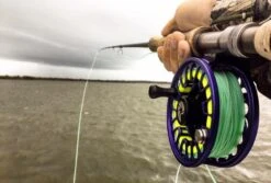 Cortland Liquid Crystal Guide Tropic Salt Floating Fly Line -Fishing Specialty Store Cortland Liquid Crystal Guide Tropic Salt Fly Line D340030 XX guidetaper3 959x