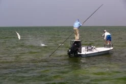 Cortland Liquid Crystal Guide Tropic Salt Floating Fly Line -Fishing Specialty Store Cortland Liquid Crystal Guide Tropic Salt Fly Line D340030 XX inter3 92936b4c 78bc 4e91 8912 910d7d939c72 1200x