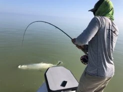 Cortland Liquid Crystal Tarpon Taper Fly Line -Fishing Specialty Store Cortland Liquid Crystal Tarpon Taper Fly Line D34003 XX liquidcrystal 1200x