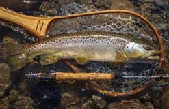 Douglas Sky G Fly Rod -Fishing Specialty Store Douglas Sky G Fly Rod DOUGLASSKYG XXX 1schermafbeelding 2023 01 11 om 11.53