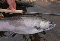 Douglas Sky G Fly Rod -Fishing Specialty Store Douglas Sky G Fly Rod DOUGLASSKYG XXX 4schermafbeelding 2023 01 11 om 11.54