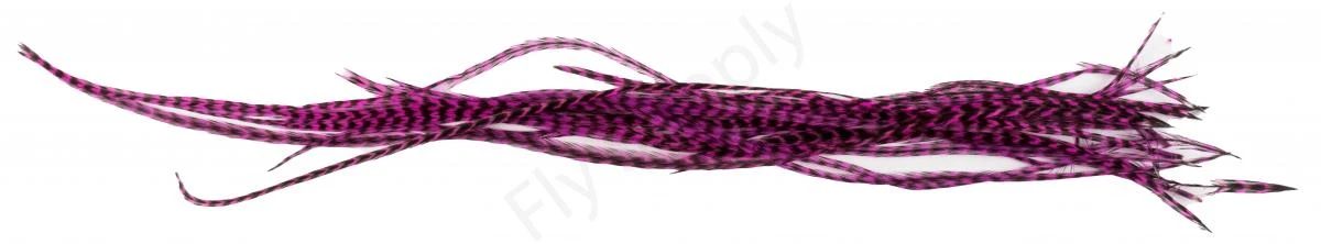 Whiting Dry Fly Saddle Feather Pack 18pc 19 Whiting Dry Fly Saddle Feather Pack 18pc - Image 17