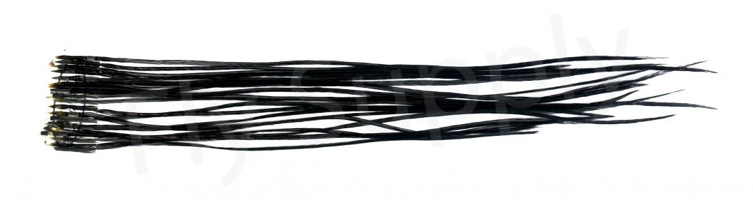 Whiting Dry Fly Saddle Feather Pack 18pc 8 Whiting Dry Fly Saddle Feather Pack 18pc - Image 6