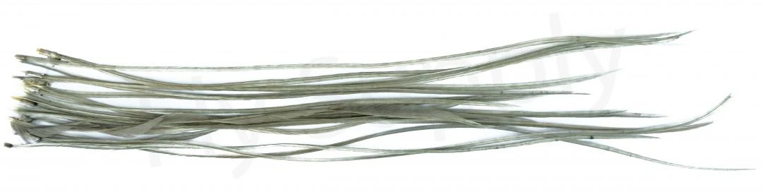 Whiting Dry Fly Saddle Feather Pack 18pc 10 Whiting Dry Fly Saddle Feather Pack 18pc - Image 8