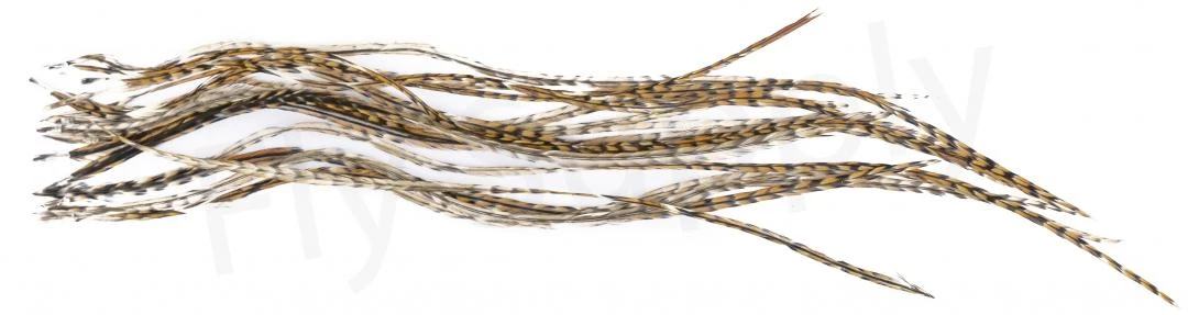 Whiting Dry Fly Saddle Feather Pack 18pc 11 Whiting Dry Fly Saddle Feather Pack 18pc - Image 9