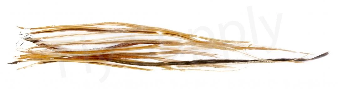 Whiting Dry Fly Saddle Feather Pack 18pc 13 Whiting Dry Fly Saddle Feather Pack 18pc - Image 11