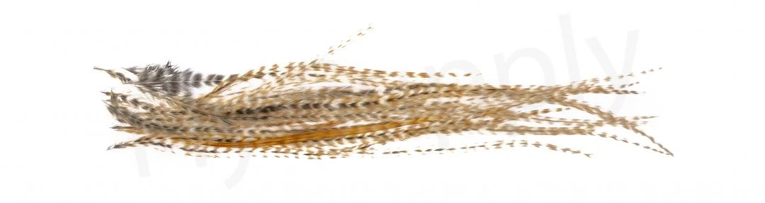 Whiting Dry Fly Saddle Feather Pack 18pc 15 Whiting Dry Fly Saddle Feather Pack 18pc - Image 13