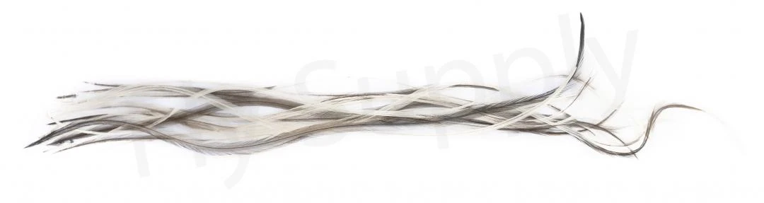 Whiting Dry Fly Saddle Feather Pack 18pc 18 Whiting Dry Fly Saddle Feather Pack 18pc - Image 16