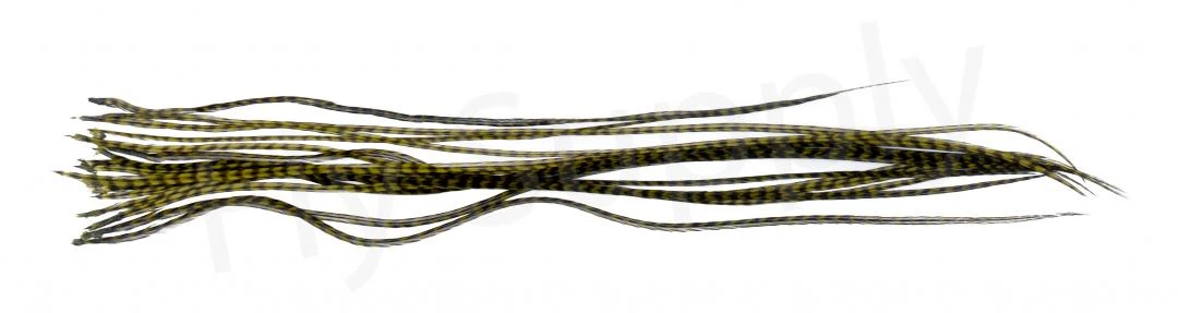 Whiting Dry Fly Saddle Feather Pack 18pc 20 Whiting Dry Fly Saddle Feather Pack 18pc - Image 18