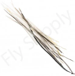 Dry Fly Saddles Select Short Feathers -Fishing Specialty Store Dry Fly Saddles Select Short Feathers DFSSSHORT XX dry fly saddles select short feathers dfssshort xx dsc07372 bewerkt