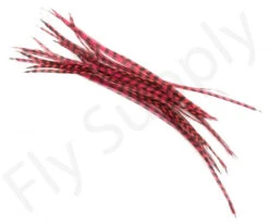 Dry Fly Saddles Select Short Feathers -Fishing Specialty Store Dry Fly Saddles Select Short Feathers DFSSSHORT XX dry fly saddles select short feathers dfssshort xx dsc07378 bewerkt 2