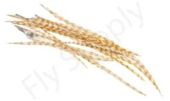 Dry Fly Saddles Select Short Feathers -Fishing Specialty Store Dry Fly Saddles Select Short Feathers DFSSSHORT XX dsc00058 bewerkt