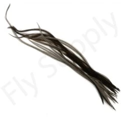 Dry Fly Saddles Select Short Feathers -Fishing Specialty Store Dry Fly Saddles Select Short Feathers DFSSSHORT XX dsc00959 bewerkt