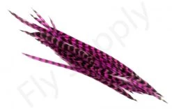 Dry Fly Saddles Select Short Feathers -Fishing Specialty Store Dry Fly Saddles Select Short Feathers DFSSSHORT XX dsc07462 bewerkt 2