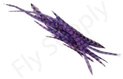 Dry Fly Saddles Select Short Feathers -Fishing Specialty Store Dry Fly Saddles Select Short Feathers DFSSSHORT XX dsc07516 bewerkt 3