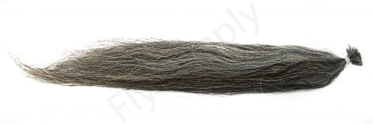 Dutch Pike Hair 7 Dutch Pike Hair - Image 5