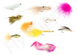 Euro Flies Access Seatrout & Perch Complete Set #7 – 9ft 10 Euro Flies Access Seatrout & Perch Complete Set #7 – 9ft -Fishing Specialty Store Euro Flies Access Seatrout Perch Complete Set 7 9ft EF ACCSET 7 90ft dsc06382
