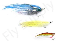 Euro Flies Predator Complete Set #10 – 9ft 11 Euro Flies Predator Complete Set #10 – 9ft -Fishing Specialty Store Euro Flies Predator Complete Set 10 9ft EF PRESET 10 90ft vis 1 2