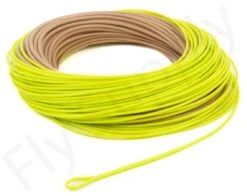 Euro Flies Tropical Power Taper Floating WF Fly Line -Fishing Specialty Store Euro Flies Tropical Power Taper Floating WF Fly Line EF TROPPOWTAP XXX dsc06604 2