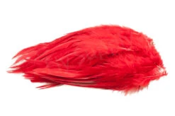 Strung Saddle Hackle -Fishing Specialty Store FS 598