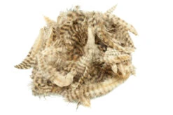 Grizzly Marabou -Fishing Specialty Store FS 656