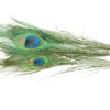 Peacock Eyes Natural 2pc -Fishing Specialty Store FS 736