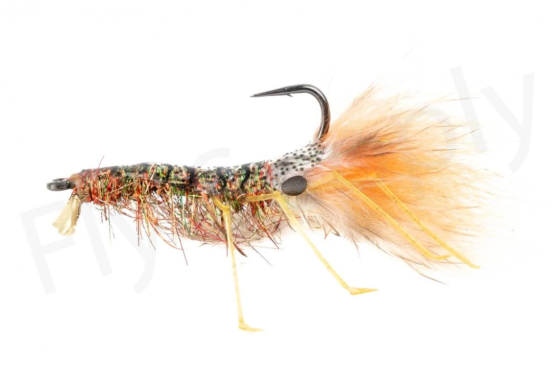 Fish Skull Shrimp & Cray Tail 9 Fish Skull Shrimp & Cray Tail - Image 7