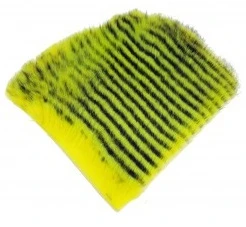 FutureFly Rabbit 4 FutureFly Rabbit - Image 2