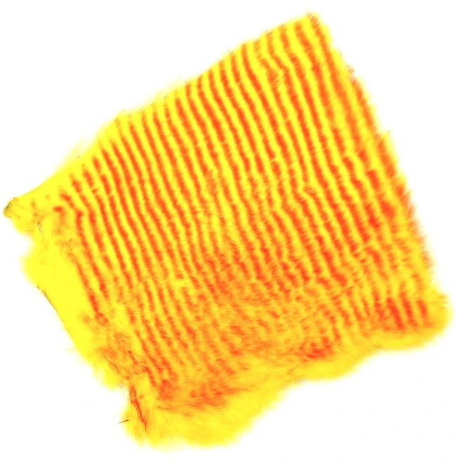 FutureFly Rabbit 5 FutureFly Rabbit - Image 3